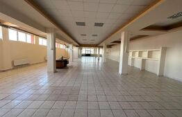 Spatiu comercial stradal, 330 mp, zona cu trafic intens