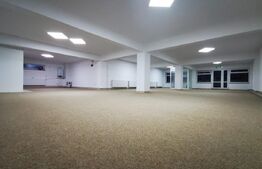 Oportunitate! Spatiu comercial cu potential, 183 mp, Radauti, zona Calarasi