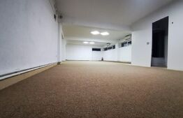 Oportunitate! Spatiu comercial cu potential, 183 mp, Radauti, zona Calarasi
