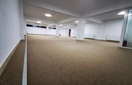 Oportunitate! Spatiu comercial cu potential, 183 mp, Radauti, zona Calarasi