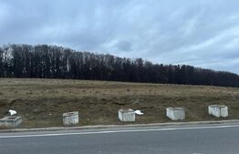 Teren pentru investitie, suprafata de 7000mp, cu acces la E68, Vest