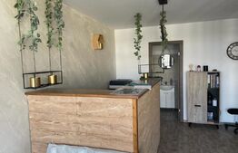 Hala moderna de vanzare, 600 mp, zona Garii, Darmanesti