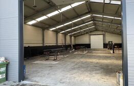 Hala moderna de vanzare, 600 mp, zona Garii, Darmanesti