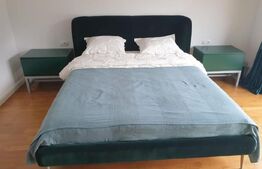 Casa de 250 mp si teren 1800 mp zona de munte