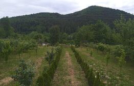 Casa de 250 mp si teren 1800 mp zona de munte