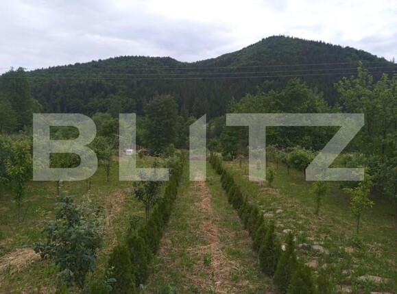 Casa de vânzare 5 camere Sud - 147078CV | BLITZ Suceava | Poza6