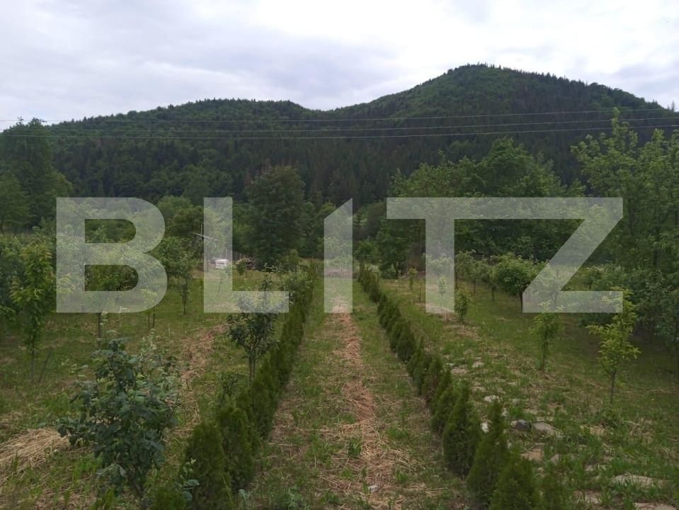 Casa de vânzare 5 camere Sud - 147078CV | BLITZ Suceava | Poza6