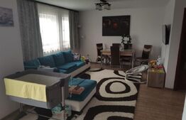 Casa individuala 135 mp + 446 teren, zona Pronia