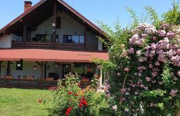 Casa individuala, 150mp, Moara