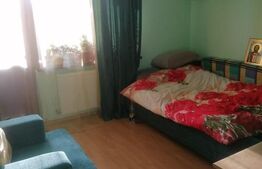 Casa individuala, 150mp, Moara