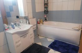 Casa individuala, 150mp, Moara