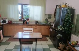 Casa individuala, 150mp, Moara