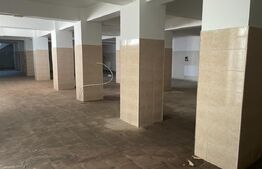 Ocazie! Spatiu comercial cu potential, 300 mp utili, zona Ramiro