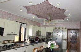 Casa individuala pentru sediu de firma, 380 mp, 1200 teren, zona Ramiro