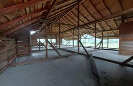 Proprietate cu potential pentru sali evenimente-hotel-restaurant, Frasin