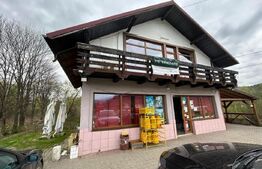 Proprietate cu potential pentru sali evenimente-hotel-restaurant, Frasin