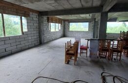 Proprietate cu potential pentru sali evenimente-hotel-restaurant, Frasin
