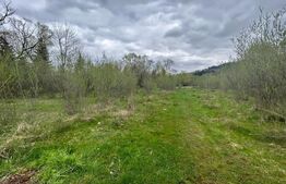 Proprietate cu potential pentru sali evenimente-hotel-restaurant, Frasin