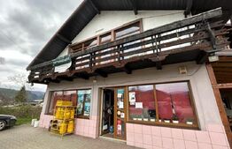 Proprietate cu potential pentru sali evenimente-hotel-restaurant, Frasin