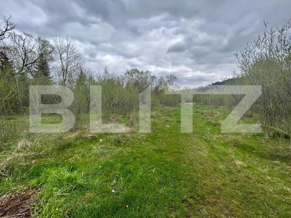 Spațiu comercial de vânzare Vest - 147332SVC | BLITZ Suceava | Poza12