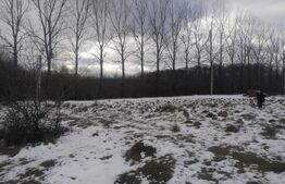 teren in zona de munte 