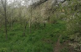 Teren intravilan 1900 mp, potențial de investiție, Nord 