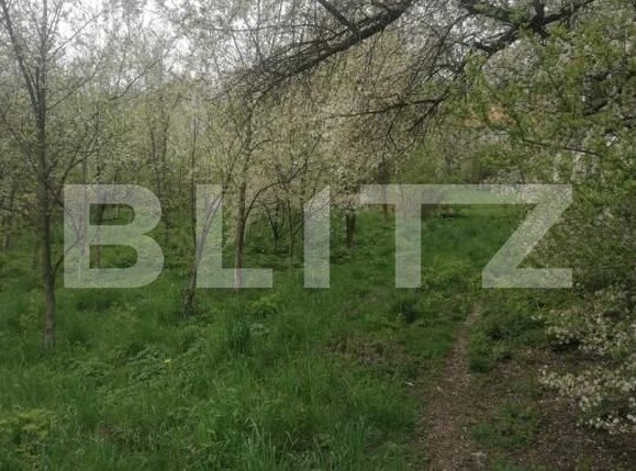 Teren de vânzare Nord - 147336TV | BLITZ Suceava | Poza5