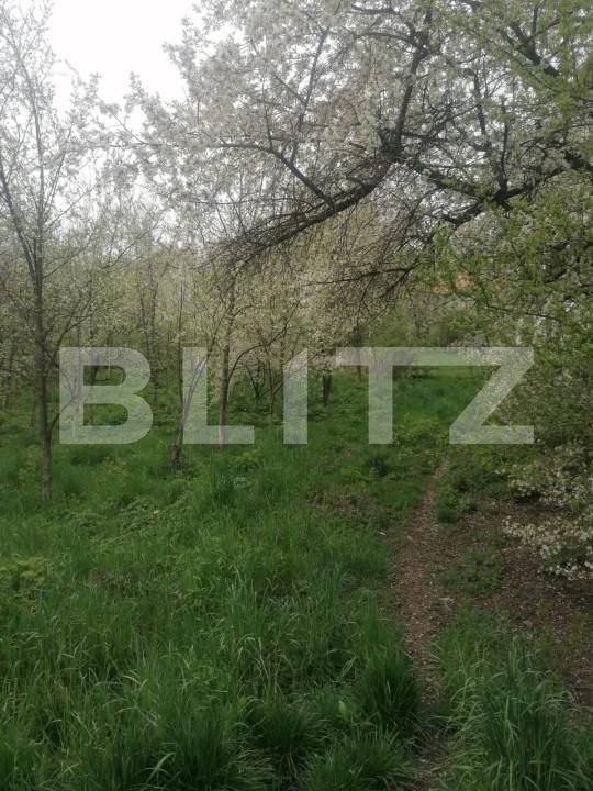 Teren de vânzare Nord - 147336TV | BLITZ Suceava | Poza5