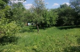 Teren intravilan, 4780 mp, zona Harbarie