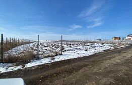 Teren Intravilan, 3500 mp in Moara 