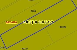 Teren Intravilan, 3500 mp in Moara 