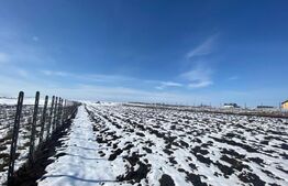 Teren Intravilan, 3500 mp in Moara 