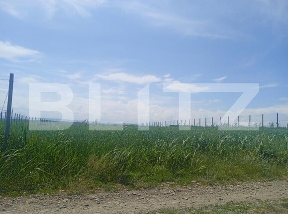 Teren de vânzare Periferie - 147353TV | BLITZ Suceava | Poza2