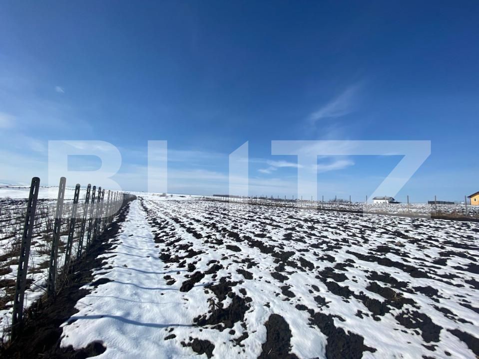 Teren de vânzare Periferie - 147353TV | BLITZ Suceava | Poza4