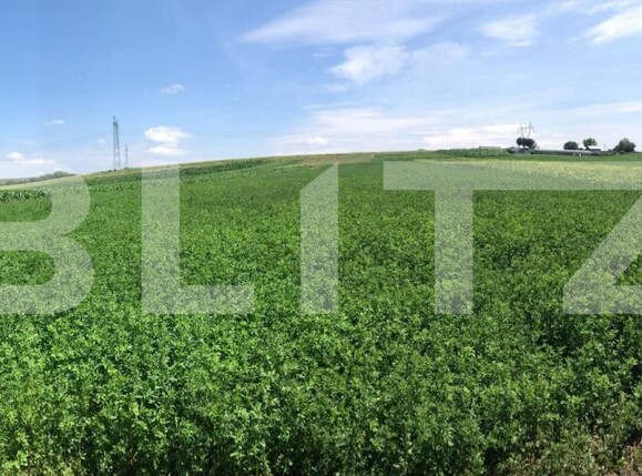 Teren de vânzare Exterior Sud - 147556TV | BLITZ Suceava | Poza1