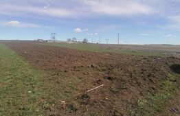 Oportunitate! Teren intravilan, 7000mp, zona Bosanci