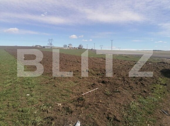 Teren de vânzare Sud - 147557TV | BLITZ Suceava | Poza1