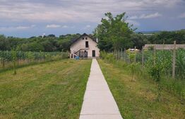 Casa individuala, 120 mp, 1900 mp teren, Udesti