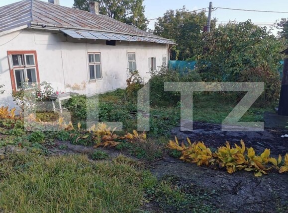 Casa de vânzare 5 camere Central - 147572CV | BLITZ Suceava | Poza3