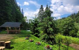 Cabana, Vatra Moldovitei, 380 mp 