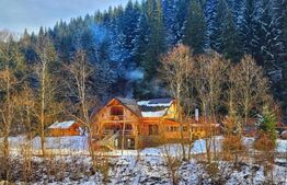 Cabana, Vatra Moldovitei, 380 mp 