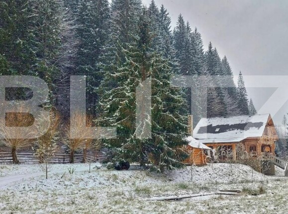 Casa de vânzare 6 camere Exterior Vest - 147573CV | BLITZ Suceava | Poza10