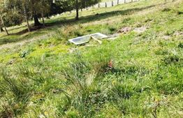 Casa renovabilă  + teren  în Argestru, Suceava