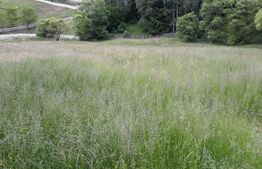 Casa renovabilă  + teren  în Argestru, Suceava