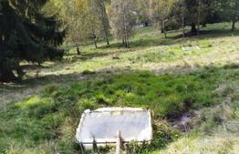 Casa renovabilă  + teren  în Argestru, Suceava