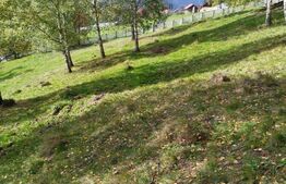 Casa renovabilă  + teren  în Argestru, Suceava