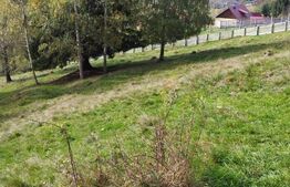 Casa renovabilă  + teren  în Argestru, Suceava