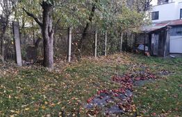 Casa batraneasca, 3 camere, 60mp, zona Ultracentral