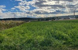 Teren Intravilan , zona Burdujeni 1000mp 