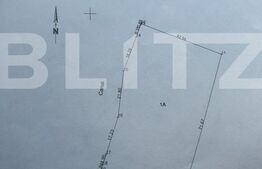 Teren extravilan, 2989 mp, situat in extravilanul Plopeni